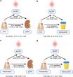 Bleeding Gums and Kidney Disease? Study Uncovers a Surprising Link