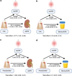 Periodontitis and kidney function in early chronic kidney disease