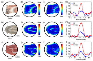 Comparison of THz imaging results of animal tissues obtained using the metamaterial sensor and the bare Si substrate.
