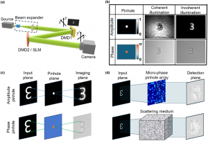 Concept and experimental validation of micro-phase-pinhole imaging.