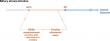 Catching biliary atresia earlier: A practical pathway from a Texas center