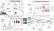 Bone-grafting biomaterial that selectively destroys bone cancer cells and bacteria