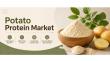 Potato Protein Market to Reach US$461.2 Mn by 2033 Driven by Plant-Based Nutrition