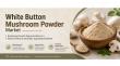 White Button Mushroom Powder Market to Expand to US$319.7 Mn on Natural Ingredient Demand