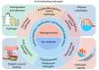Water shield, not just a barrier: How hydrogels are outsmarting biofouling in medical implants