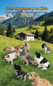 Ocho corazones y un cielo by Silvia Abercrombie, available now from Spines
