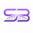 Stellar Bridge Solutions Launches Consulting Firm for Small and Mid-Sized Pharma Companies