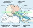 Intertextile Shanghai 2025: Meet the Premium Side Sleeper Pillow Solutions Provider for Neck & Shoulder