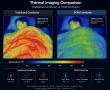PCM Comforters vs. Down-Alternative: Insights from China Best Down-Alternative Cotton All-Season Comforters Supplier