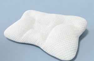 Modern lifestyle shifts have led to a significant increase in cervical spine issues, making sleep health a critical focus for physical therapists worldwide