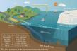 Arctic microplastics: A ticking time bomb for climate feedback loops