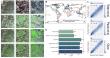 Counting trees from space with artificial intelligence