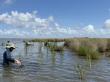 Gulf of America Alliance funds 20 projects to improve environmental and economic resilience of the Gulf Coast