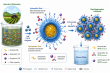 New 'Core-Shell' Coagulant Removes Pesticides and Fertilizer Pollution from Farm Wastewater in One Step