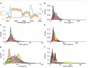 Leaf functional traits—chlorophyll (CHL), carotenoid (CAR), equivalent water thickness (EWT), nitrogen (N), and leaf mass per area (LMA)—are essential for monitoring crop health and ecosystem productivity