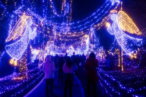 guests walking through display of twinkling angels and blue lights at the cambria christmas market