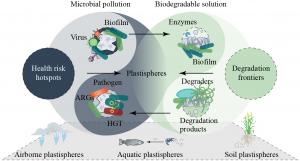 Microplastics—plastic fragments smaller than five millimeters—have become a planetary threat, infiltrating oceans, soils, and even the air we breathe