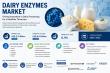Dairy Enzymes Market to Hit USD 8.94 Billion by 2035 on Lactose-Free & Fermentation Boom