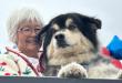 Bodhi Elected Mayor of Mendocino