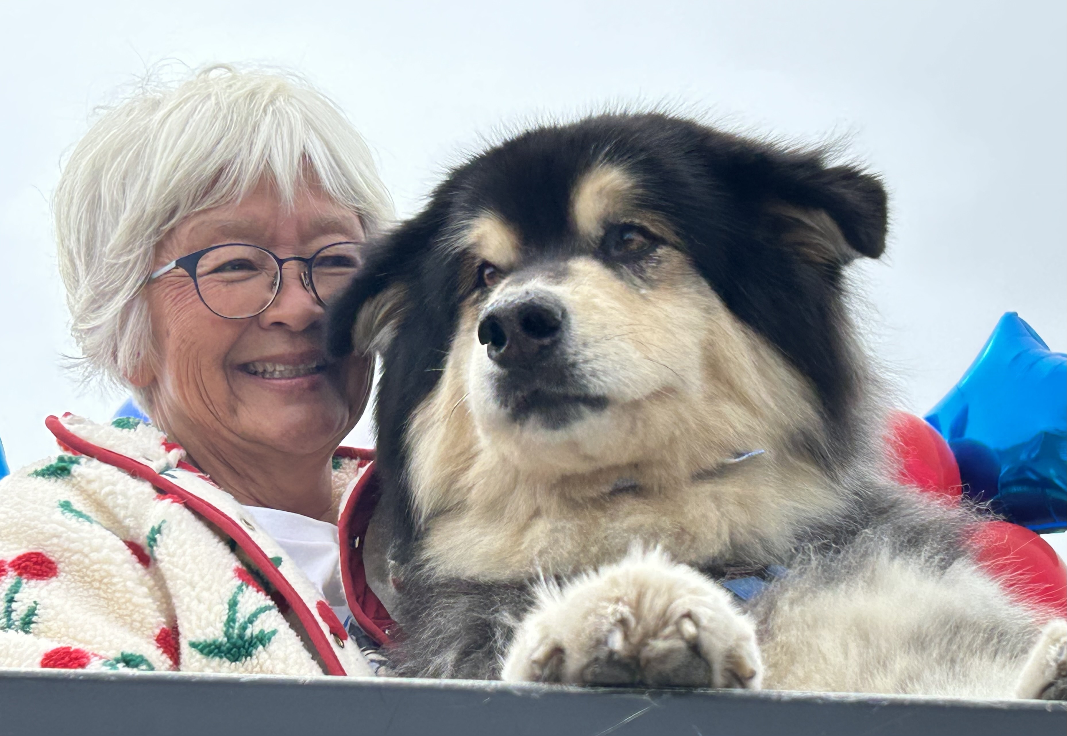 Bodhi Elected Mayor of Mendocino
