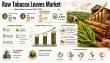 Raw Tobacco Leaves Market to Reach USD 34.07 Billion by 2035 at 3.92% CAGR Driven by Organic Demand