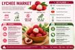 Lychee Market to Reach USD 14.17 Billion by 2035 Driven by Global Demand, Innovation, and Expanding Trade Opportunities