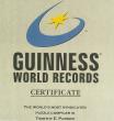Guinness World Records Puzzle Master Opens ParkerSyndication: 18 Free Daily Games for Publishers