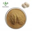 Demeterherb: Top-Rated Lion's Mane Mushroom Extract Company Leading the Global Nootropic Industry
