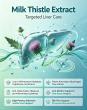 Complete Procurement Guide from the Best Milk Thistle Extract Bulk Supplier in China