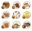 Premium Mushroom Extract Solution Provider vs Standard Extract Processors: Key Differences
