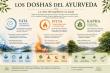 Qué son los doshas y por qué son la clave del Ayurveda para comprender la salud de cada persona en Panamá