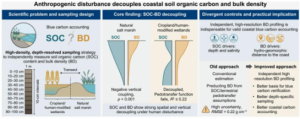 Coastal wetlands are among the most powerful carbon sinks on the planet, but a new study reveals that the standard methods used to measure this stored carbon may be systematically underestimating uncertainty in coastal zones