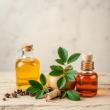 Aromatics Market to Reach $8.39 Billion by 2035 as Bio-Based Chemistry and Premium Fragrances Reshape the Scent Industry