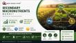 Secondary Macronutrients Market Outlook 2035: Growing at 5.15% CAGR Amid Rising Precision Farming Adoption