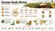 Sesame Seeds Market to Reach USD 7.432 Billion by 2035 Driven by Healthy Food Demand at 2.12% CAGR