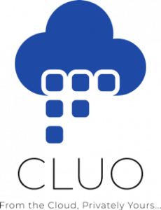 Cluo Logo 3