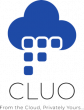 Mazzzing Inc. Launches Cluo: Secure Computing for $4.99 a Month, No New Hardware Required