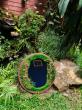 myBageecha Reports Surge in Urban Gardening Demand as Indian City Dwellers Embrace Biophilic Living