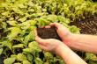 From Waste to Worth: Bloom Marks 10 Years of Transforming Wastewater into a Regional Sustainability Success
