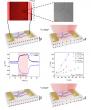 Highly Sensitive SWCNT-Based Pyroelectric Phototransistors Enable Broadband Room-Temperature Infrared Detection