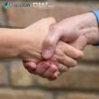 Capstan Partners Named Official Partner of the Royal Australasian College of Physicians
