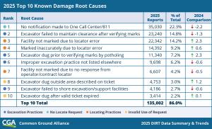2025 DIRT Top 10 Causes (use)