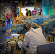 Star brite Brings New Product Innovation, Live Art and Purpose-Driven Conservation to ICAST 2026