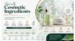 Specialty Cosmetic Ingredients Market is Projected to Reach US$ 22.3 Bn by 2033, Growing at A CAGR of 4.6%