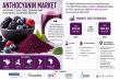 Anthocyanin Market to Reach USD 686.40 Million by 2035, Driven by Clean-Label Demand and Functional Nutrition Growth
