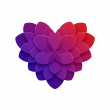 Peoria Florist Reports 8% First-Half Growth and Introduces New Floral Favicon