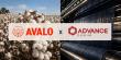 Advance Denim and Avalo Announce Multi-Year Partnership to Bring Low-Footprint Cotton to Denim 	