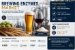 Brewing Enzymes Market to Reach USD 1,287.45 Million by 2035, Growing at 7.98% CAGR