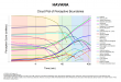 Nodus Perfume House Introduces Fragrance Cloud Plots, a New Way to See How Perfume Evolves Over Time