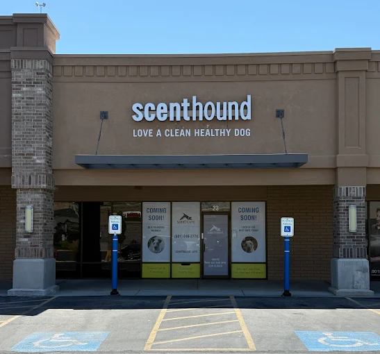 Scenthound Provo Will Celebrate One Year of Wellness-First Dog Grooming in Provo This September
